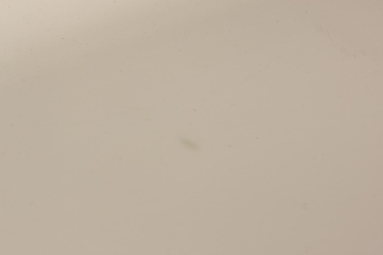 Arabia FL 43 large white serving platter - Image 7