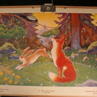Vintage koulun opetustaulu Aukusti Salo Rudolf Koivu Suomalaisia satukuvia “Pupu-Jussin viisaus” “Jänis loikkaa”